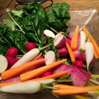 厳選野菜のバーニャカウダ