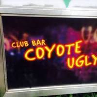 COYOTE UGLY