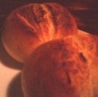 サービスの焼きたてパン