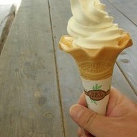ソフトクリーム