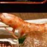 活車海老の塩焼き