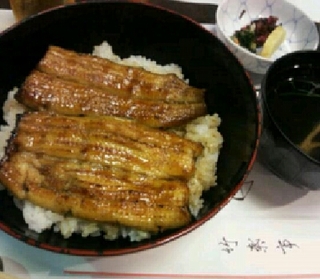 うなぎ丼