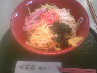 五目冷やし中華