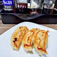 にんにく激増し餃子　ＪＵＳＴ　ＳＩＺＥ