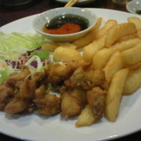 揚げ物２種盛り