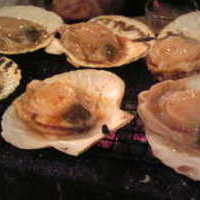 浜焼き　５，０００円以上コース