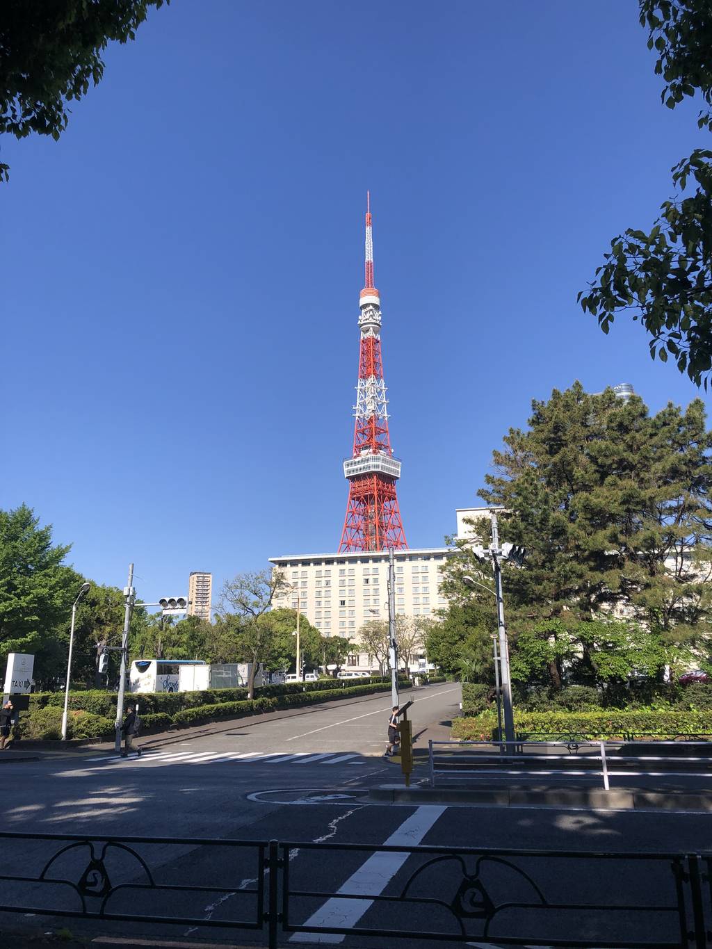 港区役所 レストラン ポート