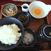 芽ぶきのたまごかけご飯