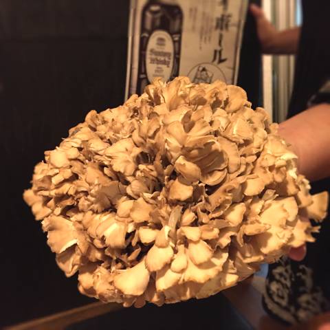 北海道から空輸された《舞茸》