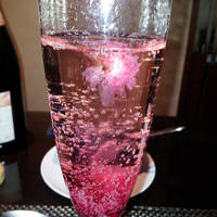 貫井園の狭山緑茶と抹茶のスフレ×桜のアイス