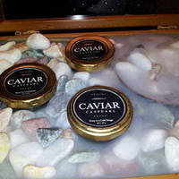 ロシアチョウザメのフレッシュキャビア（焼…