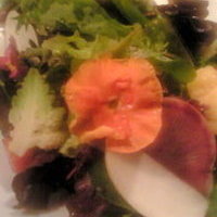 １０品目のお野菜のカラフルなサラダ