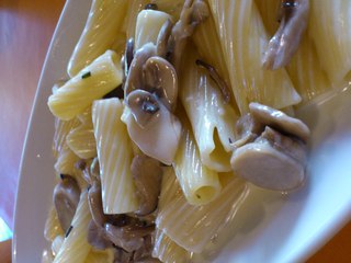 キノコのクリームソースのリガトーニ