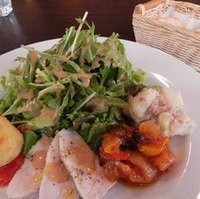 鶏肉と水菜のトマトソース