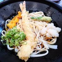 大海老天おろしうどん