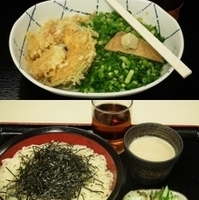 青ネギの冷たぬきうどん