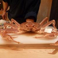 松葉ガニ