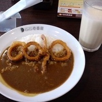 ハーフイカカレー