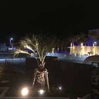 グライアヤム(鶏のココナッツカレー)