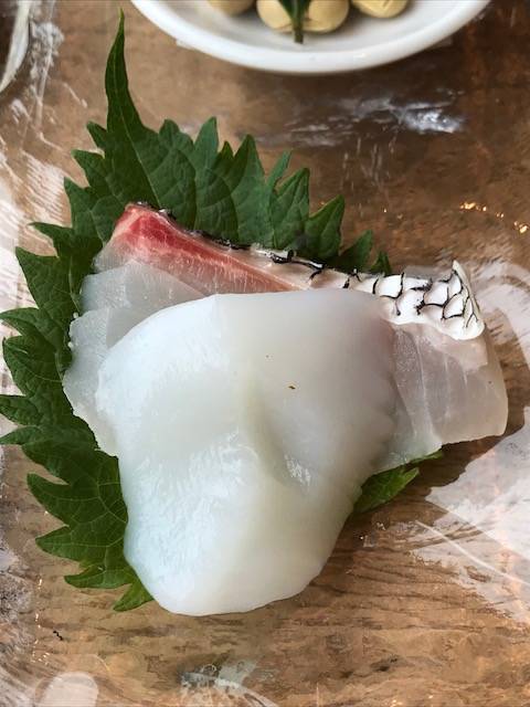 紋甲イカと鯛のお刺身