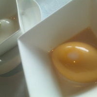 マンゴープリン