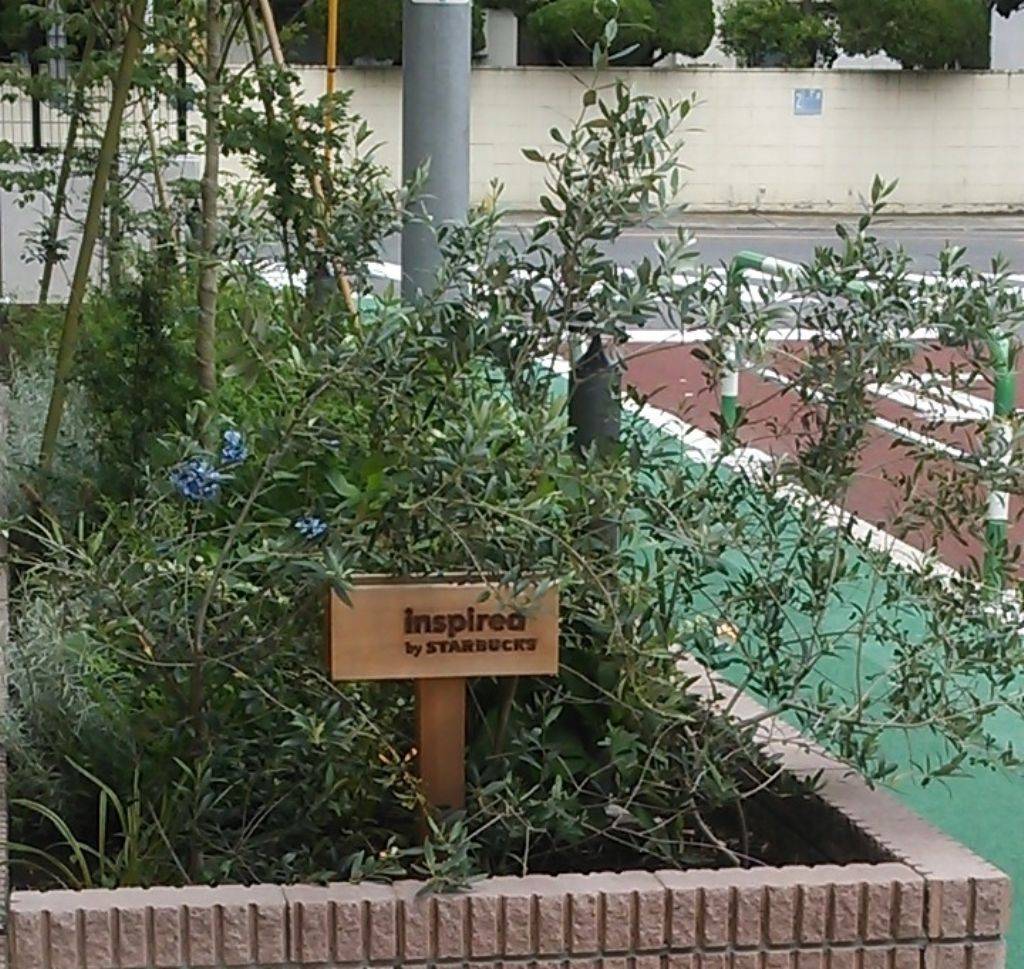 スターバックスコーヒー 玉川3丁目店