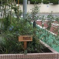 スターバックスコーヒー 玉川3丁目店