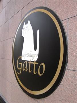 cafe Allegro gatto