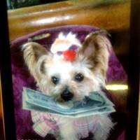 カフェソング・リラ