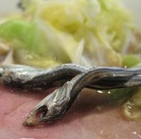 こってり煮干しらーめん