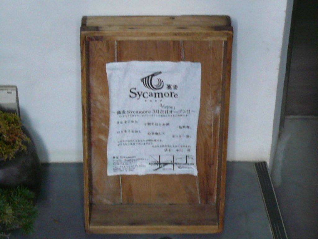 蕎麦Sycamore