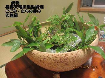 ミニ懐石コース