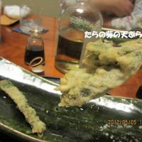 大将おまかせコース