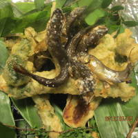 大将おまかせコース