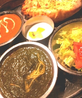 レディースセット