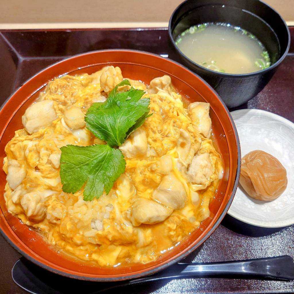 名古屋コーチン　親子丼