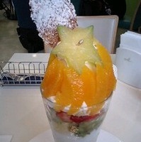 トロピカルサワーフルーツのチーズケーキパ…