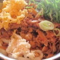 肉ごぼうぶっかけうどん