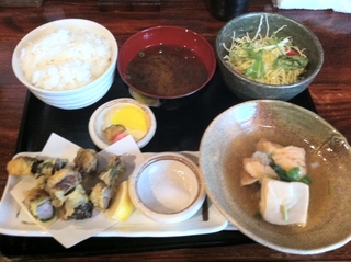 豚肩ロースのしそ巻き天麩羅と鱈のみぞれ炊き