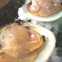 はまぐり磯焼き