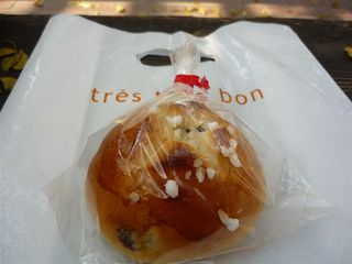 レーズンバンズ