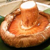 加賀百万石椎茸の炭火焼