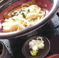 釜揚げうどん