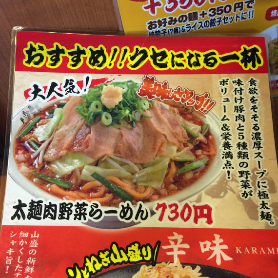 太麺肉野菜らーめん