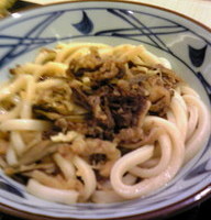 肉ごぼうぶっかけうどん