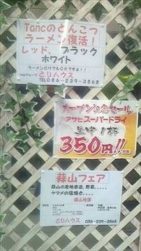 岡山鶏酒場 とりハウス