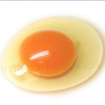 エッグボンバー