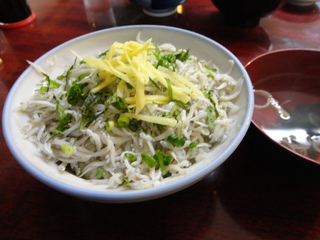 釜揚げしらす丼