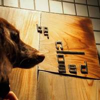 バー クローズド