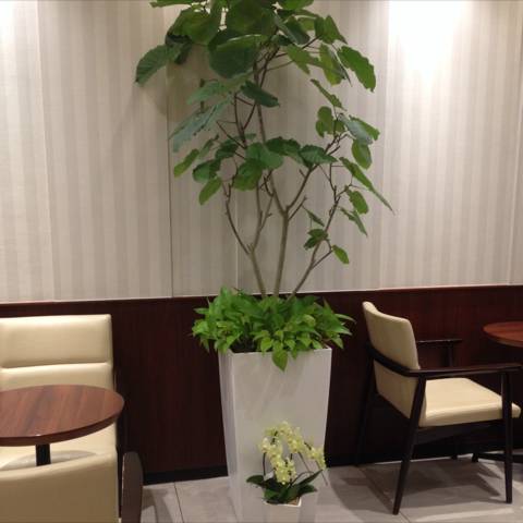 ドトールコーヒーショップ 仙台一番町3丁目店